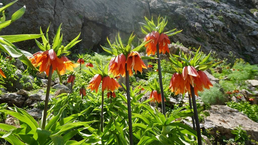 Halk arasında 'ağlayan gelin' olarak biliniyor. Görmek isteyenler kilometrelerce yol katediyor - Resim: 12